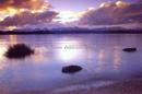 Lake Manipouro, Fjordland, NZ 